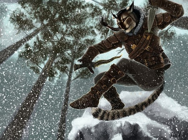 Ловкий зимний каджит.