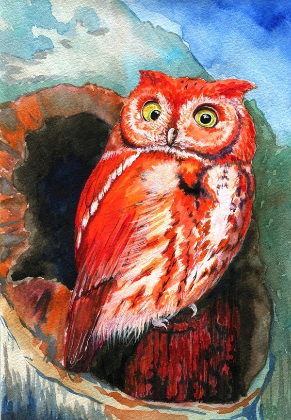 ������� �� ����