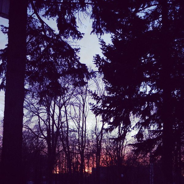 ���� ������������. 2�.