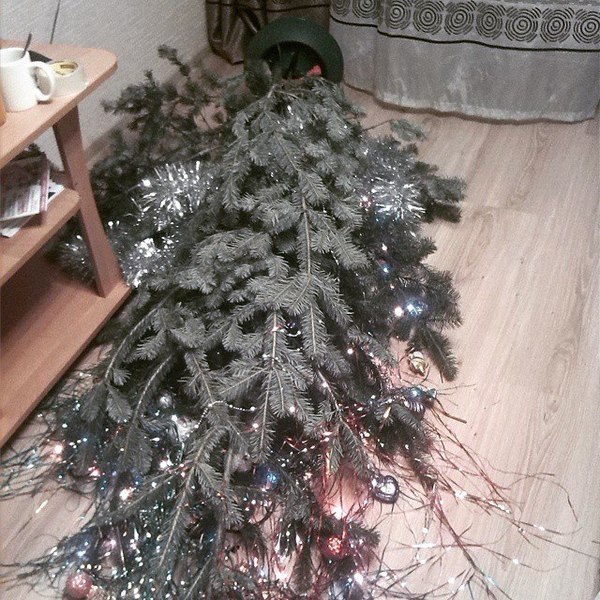 Коты быстрого реагирования.