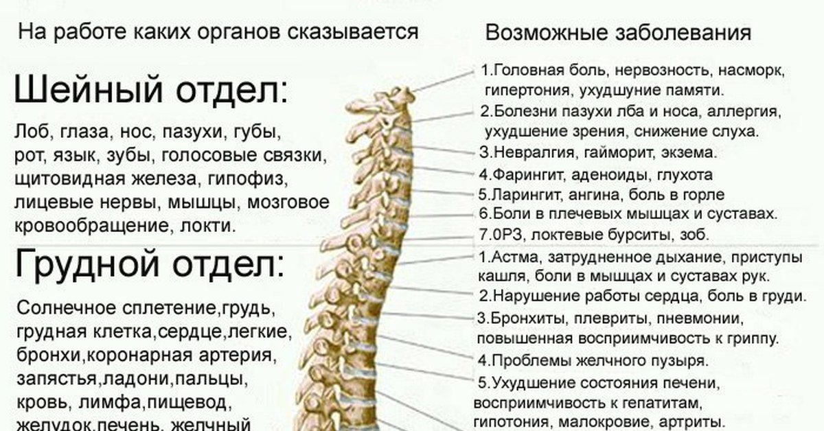 Боль в спине трудно дышать. Психосоматика болезней таблица остеохондроз. Нижний грудной отдел позвоночника психосоматика.