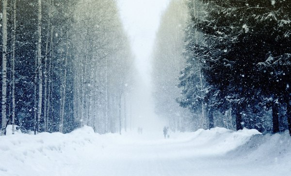 Дорога в зимнюю сказку