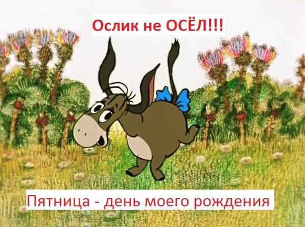 Donkey Eeyore, cunning!!!! - Cartoons, Donkey Eeyore, Birthday, My