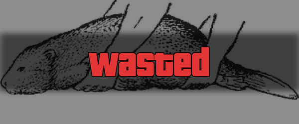 Wasted , 