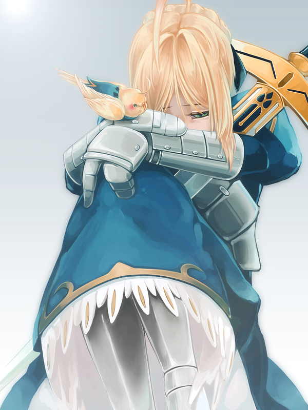 Saber Saber, Fate-stay Night, Anime Art, 