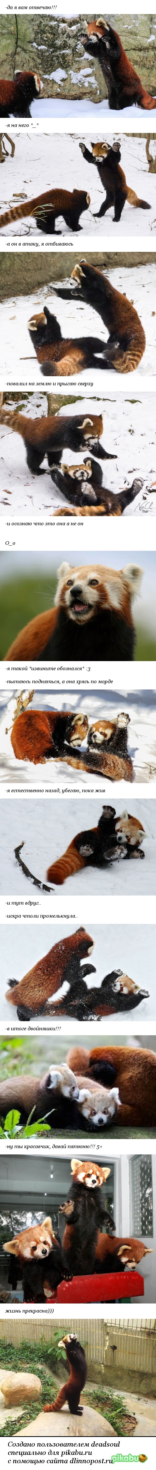 ������ �������!!!))