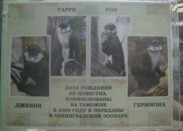 �������� ��� ���������!