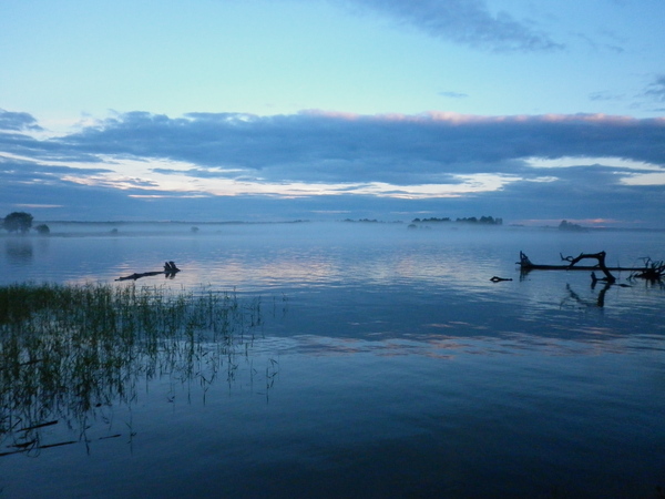 ���� �� ������ ����