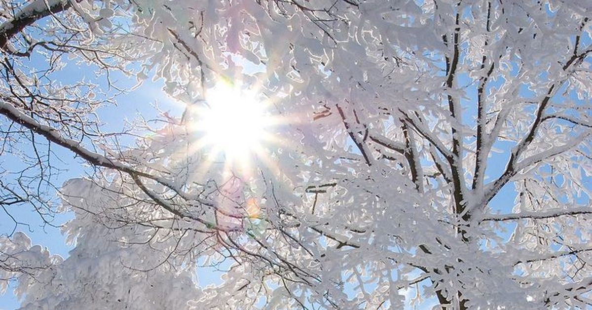 Белый снег слепит глаза. Солнечный зимний день. Солнце зимой. Ясный зимний день. Солнце светит зимой.