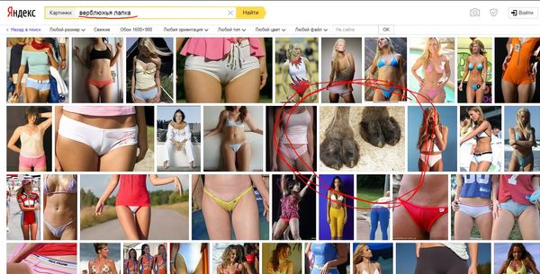 What does a camel toe look like? - NSFW, My, Cameltoe, Images, , Screenshot