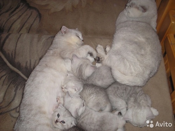 ������������....