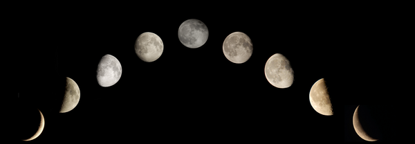 ���� ����