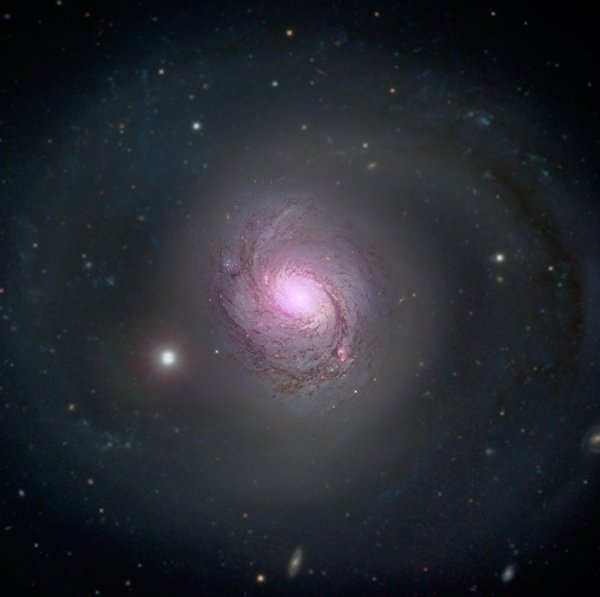     NGC 1068 , , , Ngc 1068, , ,  (),   ,  