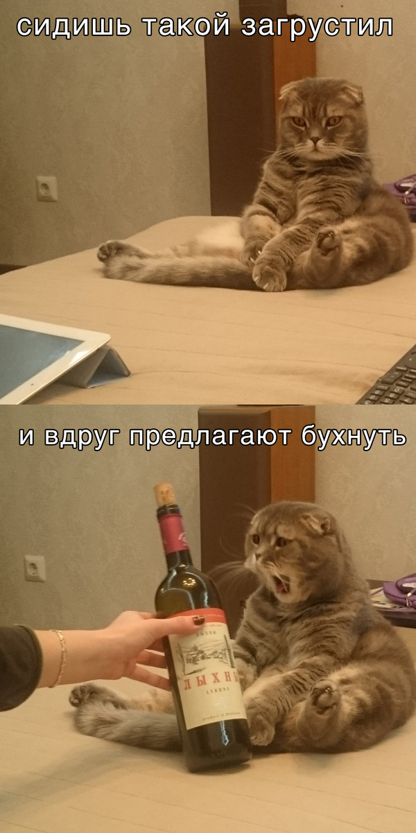 ��������� �������