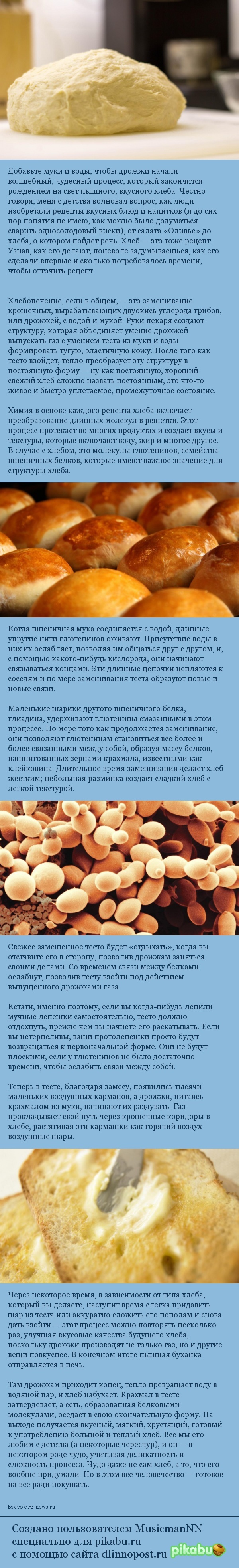 ХИМИЯ ХЛЕБА: ЧУДО, ДО КОТОРОГО ЧУДОМ ДОДУМАЛИСЬ НАШИ ПРЕДКИ | Пикабу