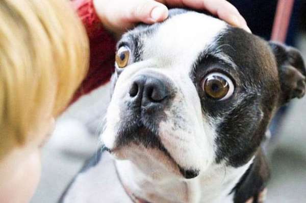 ��� ������ � �����