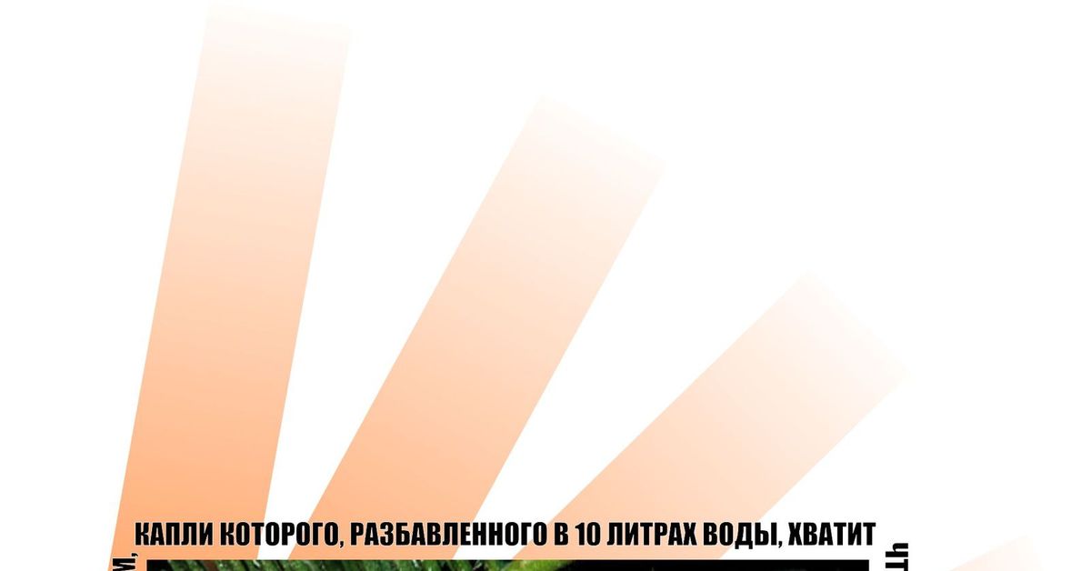 Тайпан | Пикабу