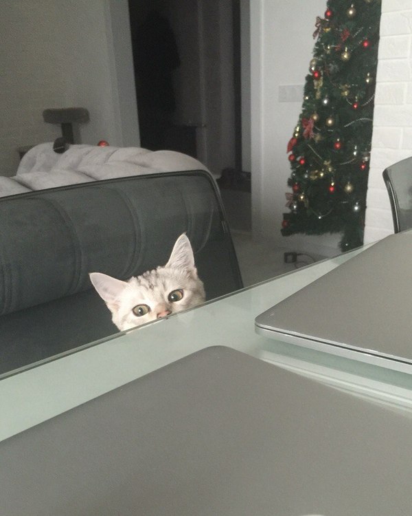 : 