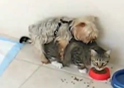 ����� - �� ����� :)