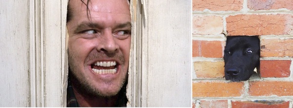 Сходство 100%