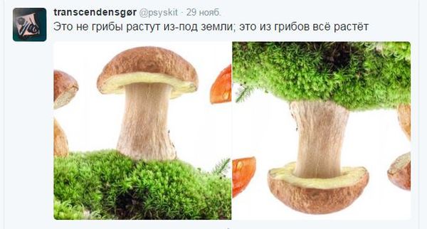 Тайна мироздания