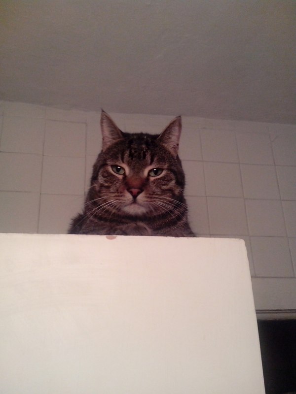 ��� �����?!