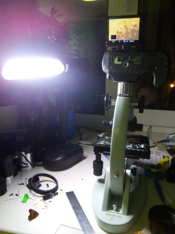 1450632797194429981 Как выглядит стекло под микроскопом