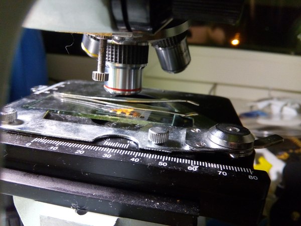 1450632971164066346 Как выглядит стекло под микроскопом