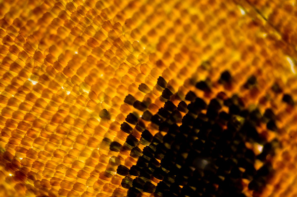 1450633907170684515 Как выглядит стекло под микроскопом