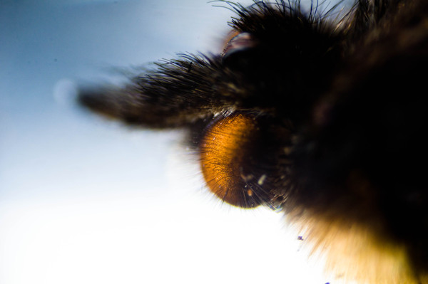 1450634271170381970 Как выглядит стекло под микроскопом