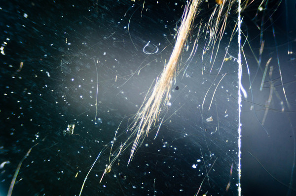 1450634773162967346 Как выглядит стекло под микроскопом