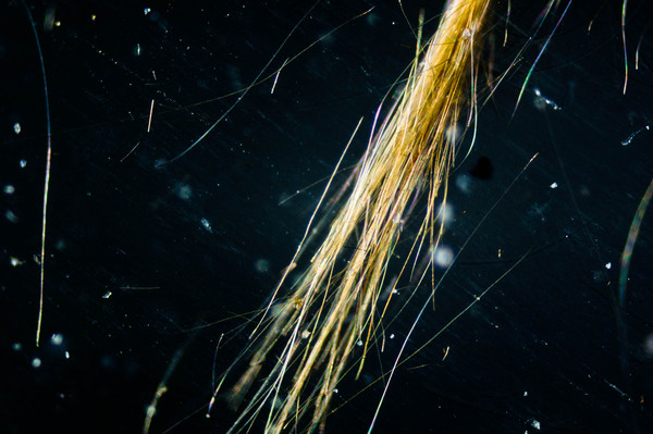 1450634795173046466 Как выглядит стекло под микроскопом