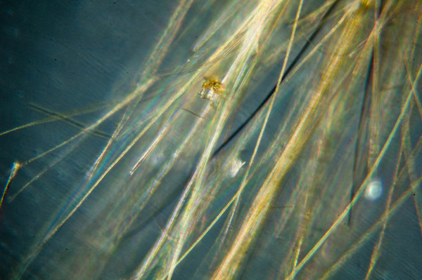 1450634830159294465 Как выглядит стекло под микроскопом