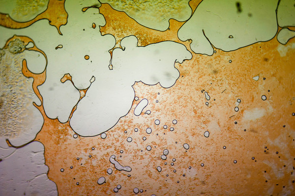 1450635292165735719 Как выглядит стекло под микроскопом