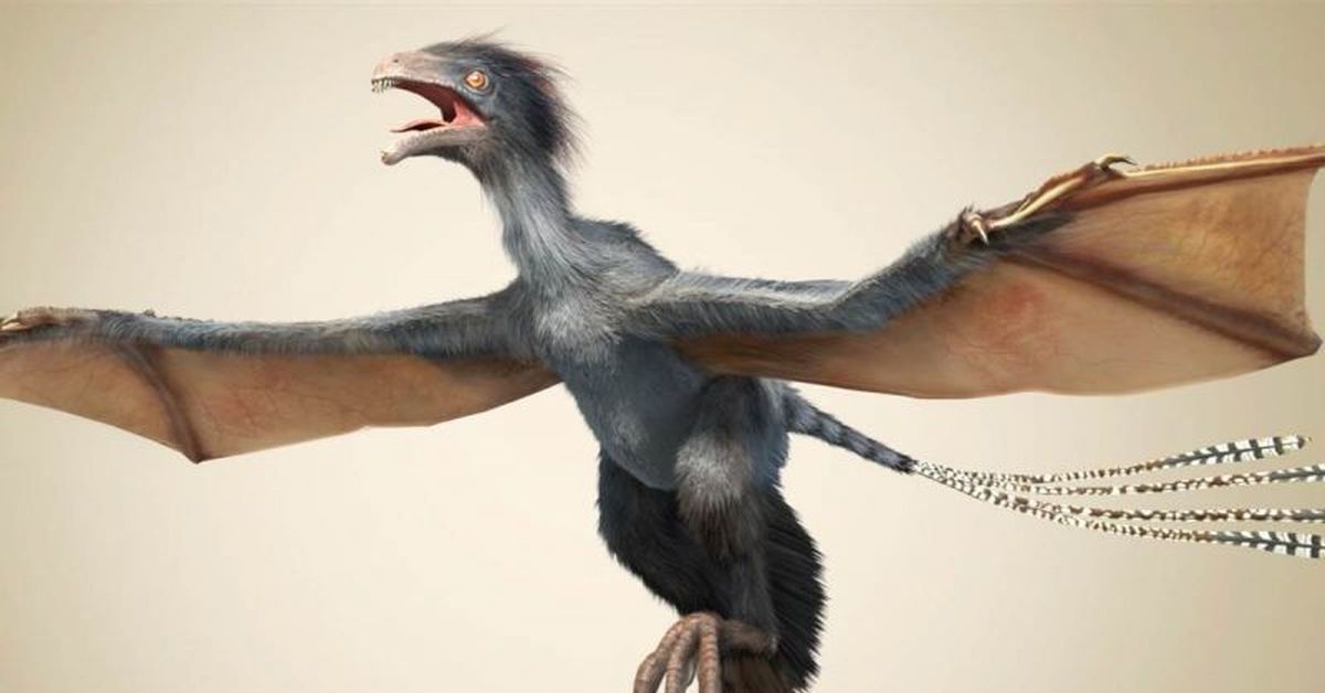 Динозавр с крыльями. Чи ци динозавр. Yi qi. Wang yi персонаж. Эпидексиптерикс динозавр.