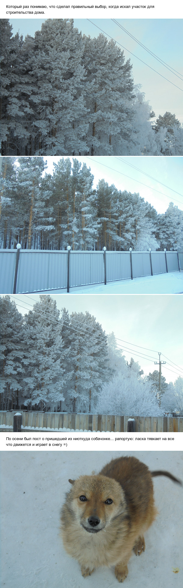 Зимнее утро (сказка при -30)