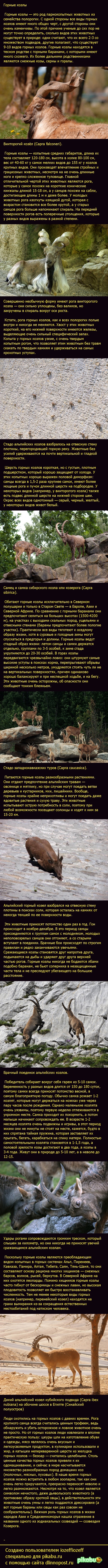 Горные козлы