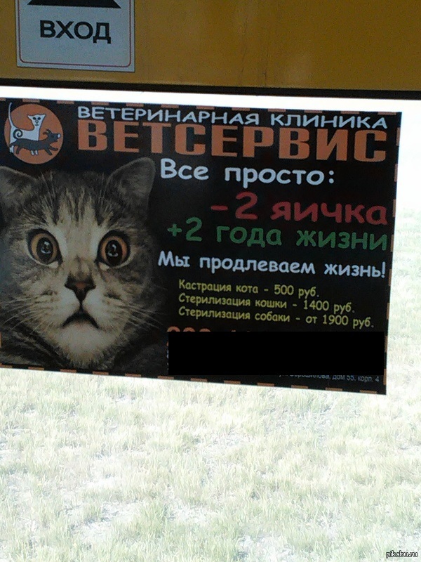 ���������� �������