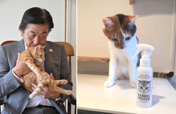 �������� ������