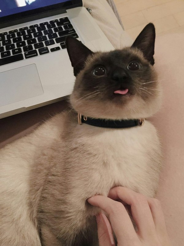 ����, ��� �� ������ ����� �������:)