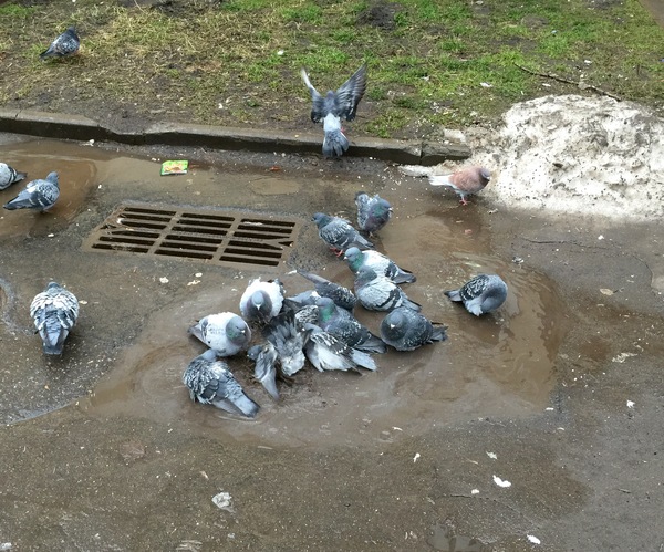 �������������� ����!