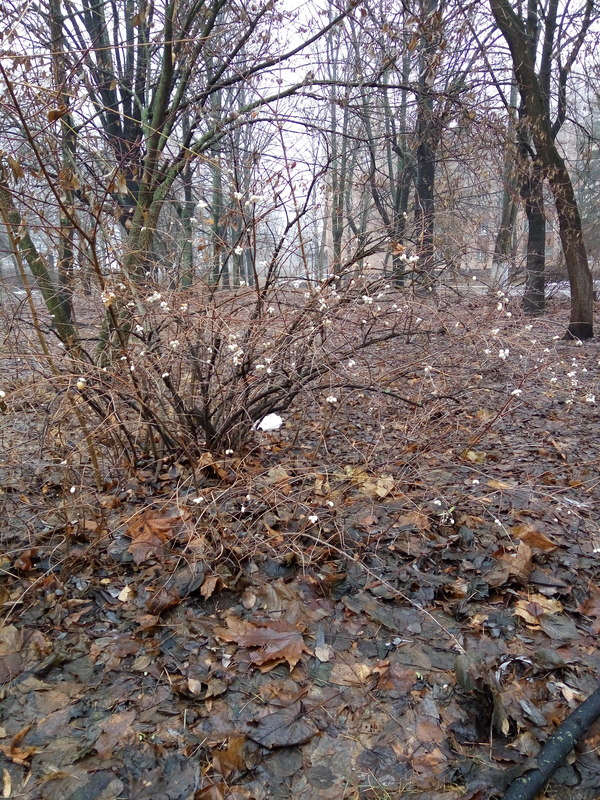 ...     (.):))  , , , , , 