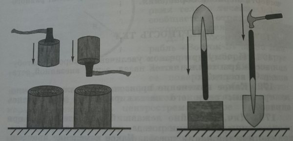 Такому дома не научат