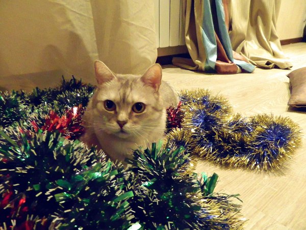   :3