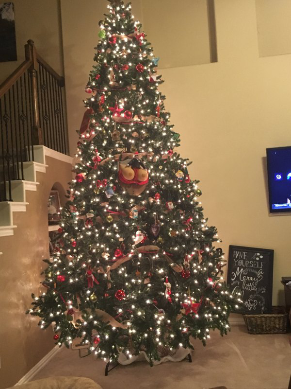 �������� � ��� ��������