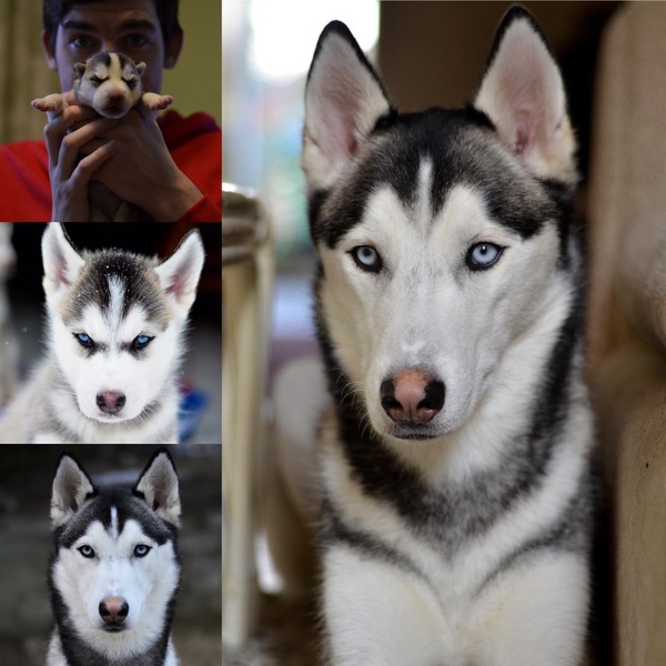 Становление.