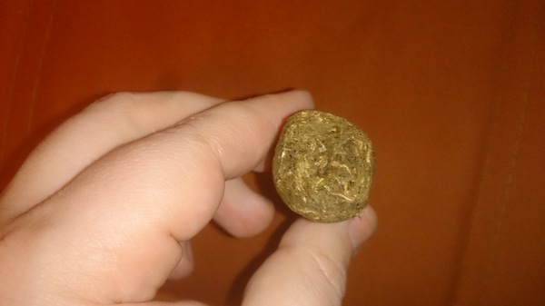 casa turrent сигары история. 1450785350190361221. casa turrent сигары история фото. casa turrent сигары история-1450785350190361221. картинка casa turrent сигары история. картинка 1450785350190361221. Мексика – один из древнейших регионов, откуда табак, как растение, начал свое шествие по миру. Неудивительно, что местный табак славится своими характеристиками по всему миру. Мексиканские сигары Casa Turrent производятся на фабрике Tabacalera Alberto Turrent (A. Turrent Nueva Matacapan S.A.), историю которой начал писать Альберто Туррент еще в 1880 году, занявшись выращиванием табака. Сейчас фабрика располагается в мексиканском штате Веракруз, и каждый член семьи Туррент, прежде чем занять управляющий пост, проходит всю цепочку рабочих специальностей – от плантации до цехов фабрики. Сегодня фабрика, на которой выпускаются сигары Casa Turrent является старейшим и крупнейшим производителем премиальных сигар в Мексике. Предприятия Альберто Туррента являются не только гордостью шести поколений семьи Туррент, по-прежнему управляющих сигарным производством и занимающихся культивацией лучшего табака в Мексике, – фабрику заслуженно называют гордостью страны! casa turrent сигары история. 1450785350190361221. casa turrent сигары история фото. casa turrent сигары история-1450785350190361221. картинка casa turrent сигары история. картинка 1450785350190361221. Мексика – один из древнейших регионов, откуда табак, как растение, начал свое шествие по миру. Неудивительно, что местный табак славится своими характеристиками по всему миру. Мексиканские сигары Casa Turrent производятся на фабрике Tabacalera Alberto Turrent (A. Turrent Nueva Matacapan S.A.), историю которой начал писать Альберто Туррент еще в 1880 году, занявшись выращиванием табака. Сейчас фабрика располагается в мексиканском штате Веракруз, и каждый член семьи Туррент, прежде чем занять управляющий пост, проходит всю цепочку рабочих специальностей – от плантации до цехов фабрики. Сегодня фабрика, на которой выпускаются сигары Casa Turrent является старейшим и крупнейшим производителем премиальных сигар в Мексике. Предприятия Альберто Туррента являются не только гордостью шести поколений семьи Туррент, по-прежнему управляющих сигарным производством и занимающихся культивацией лучшего табака в Мексике, – фабрику заслуженно называют гордостью страны!