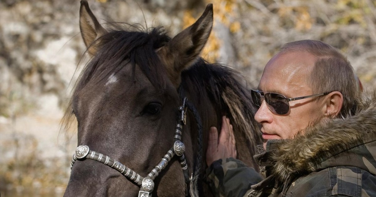 Фото кони путина