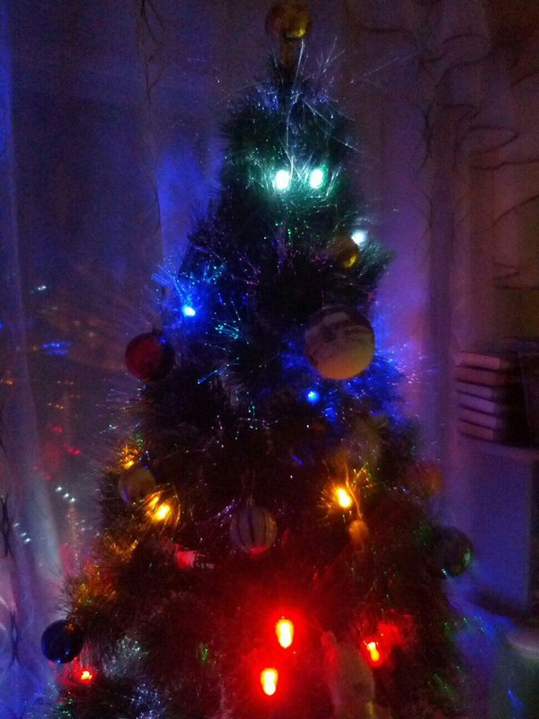 ���� ������ �� �����!