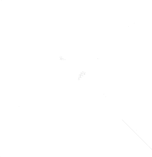 ���� ����� �������